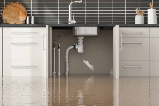 Best Basement water damage restoration  in Vander, NC
