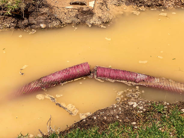 Best 24/7 water damage repair  in Vander, NC