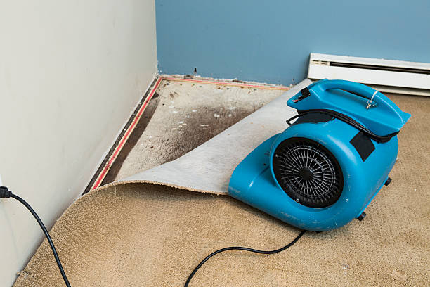 Best Water damage restoration specialists  in Vander, NC
